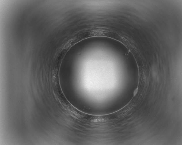 X0000067520759200604150159