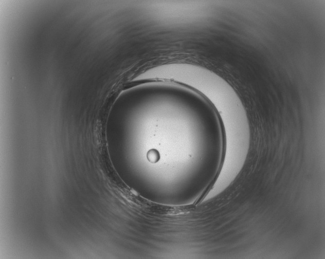 X0000067520760200604150159