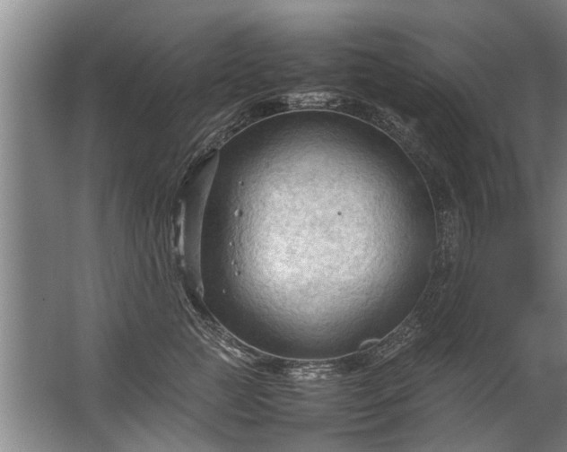 X0000067520761200604150159