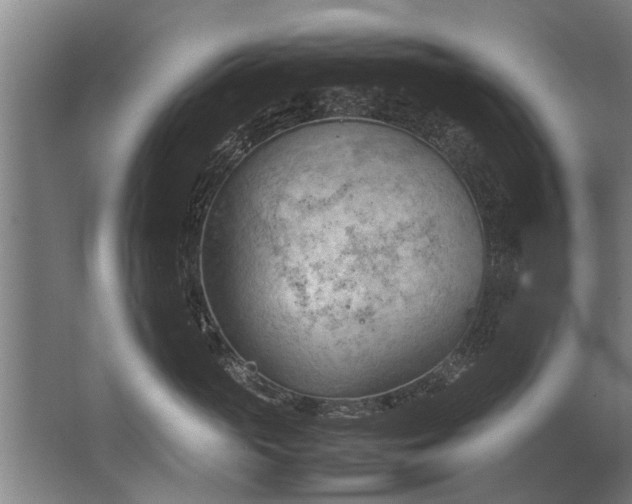 X0000067520765200604150200