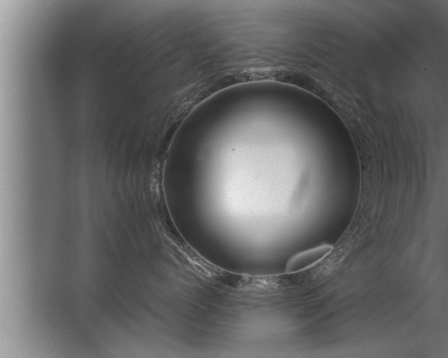 X0000067520768200604150200