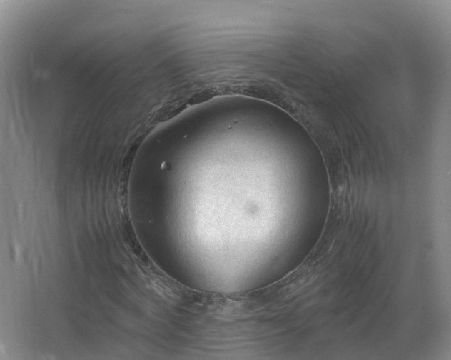 X0000067520772200604150159