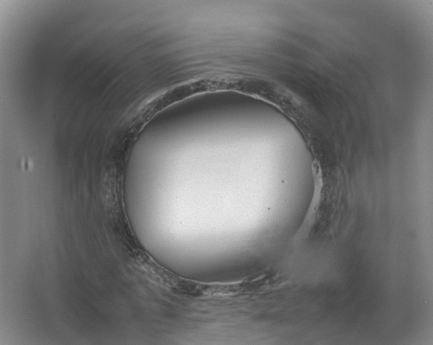 X0000067520773200604150159