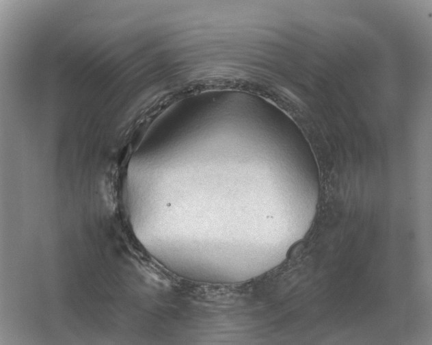 X0000067520774200604150159