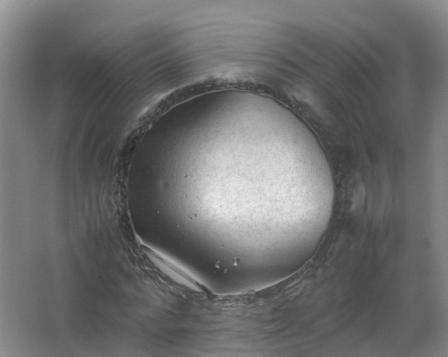 X0000067520776200604150159