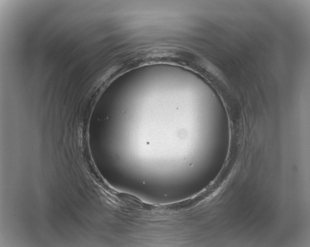 X0000067520777200604150159