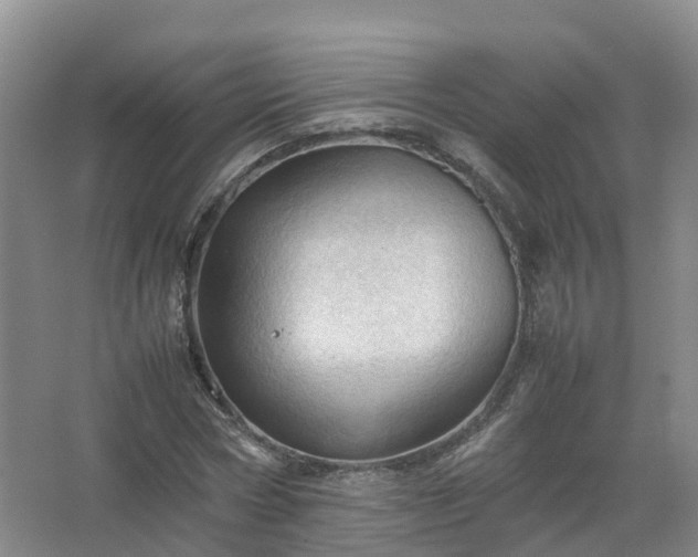 X0000067520778200604150159