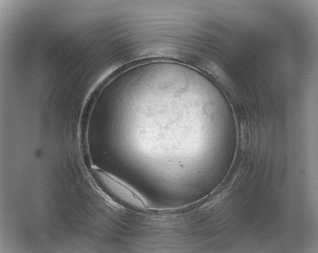 X0000067520780200604150159