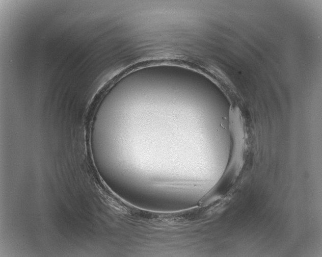 X0000067520781200604150159