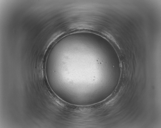 X0000067520782200604150159