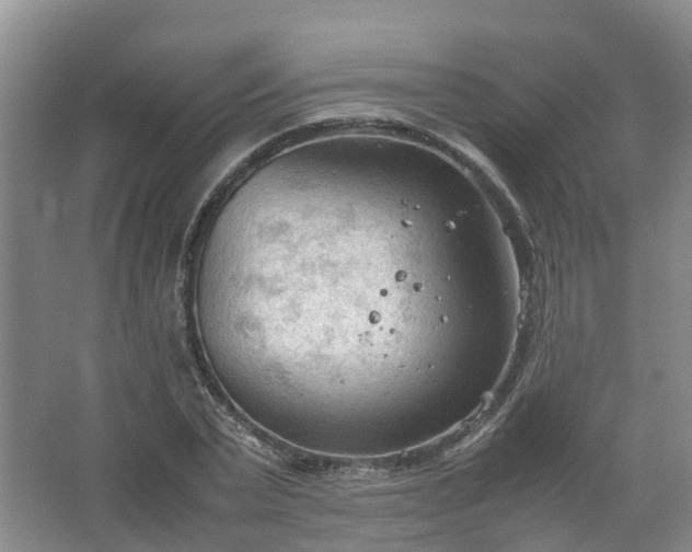 X0000067520783200604150159