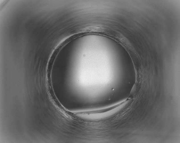 X0000067520784200604150159