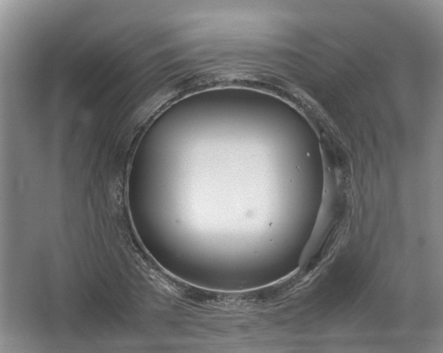 X0000067520785200604150158