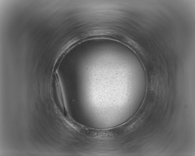 X0000067520786200604150158