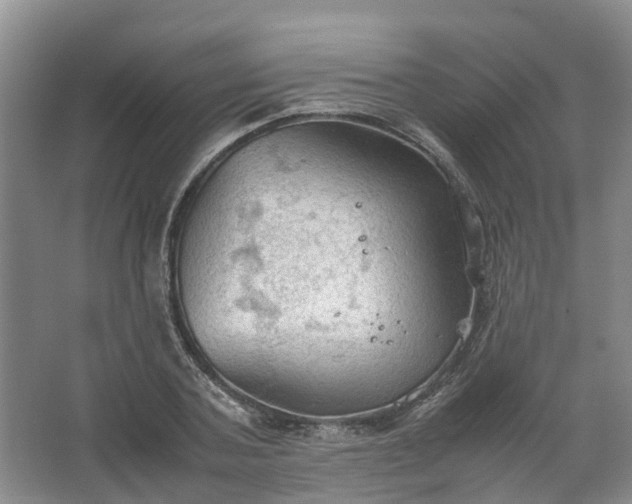 X0000067520787200604150158