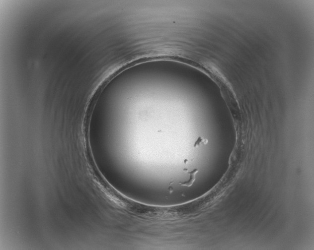 X0000067520789200604150158