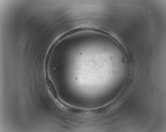 X0000067520791200604150158