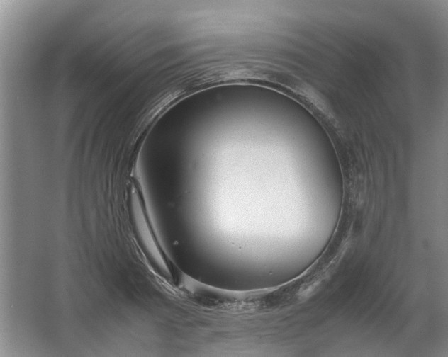 X0000067520793200604150158