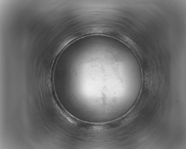 X0000067520794200604150158