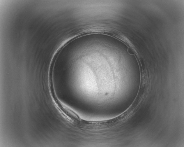 X0000067520795200604150158