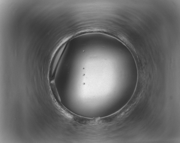 X0000067520797200604150158