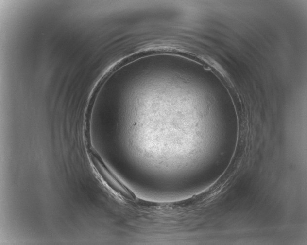 X0000067520799200604150158