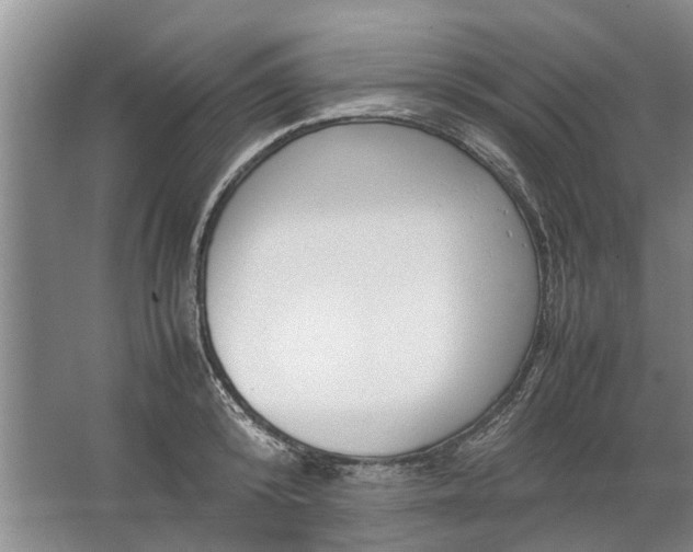 X0000067520800200604150158