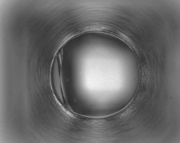 X0000067520802200604150158