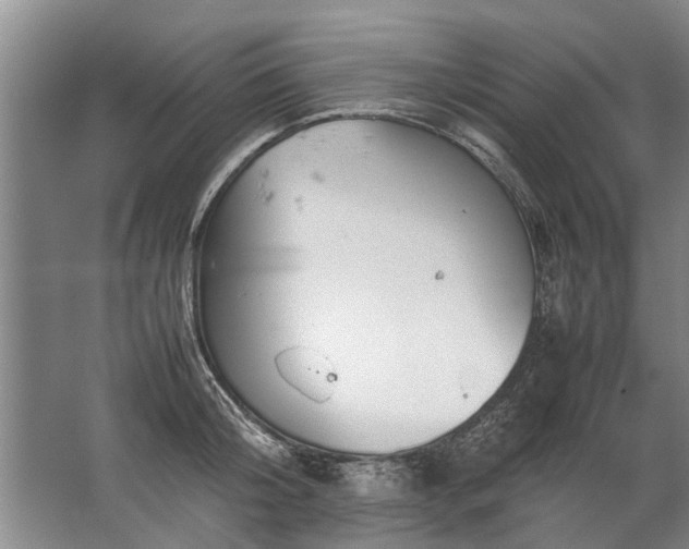 X0000067520804200604150158