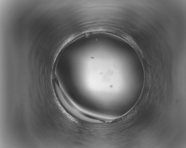 X0000067520805200604150158