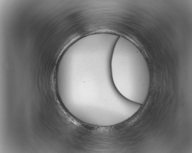 X0000067520806200604150158