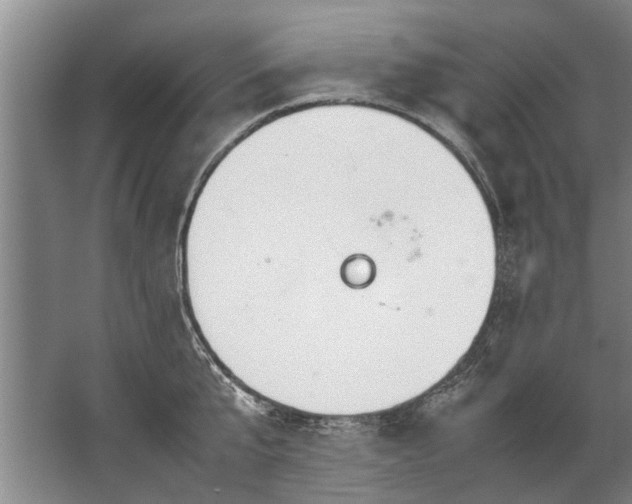 X0000067520807200604150158