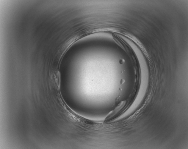 X0000067520809200604150158