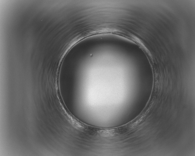 X0000067520810200604150158