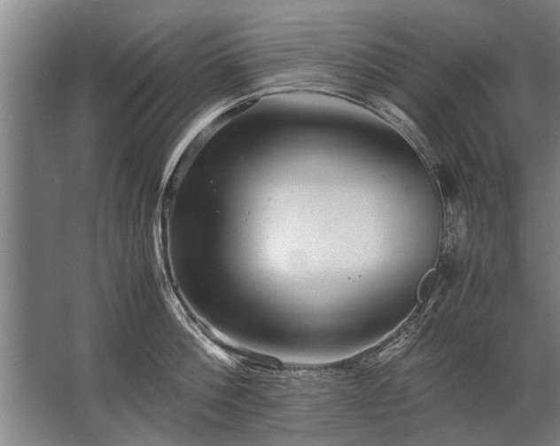 X0000067520812200604150158