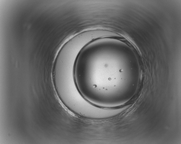 X0000067520813200604150158