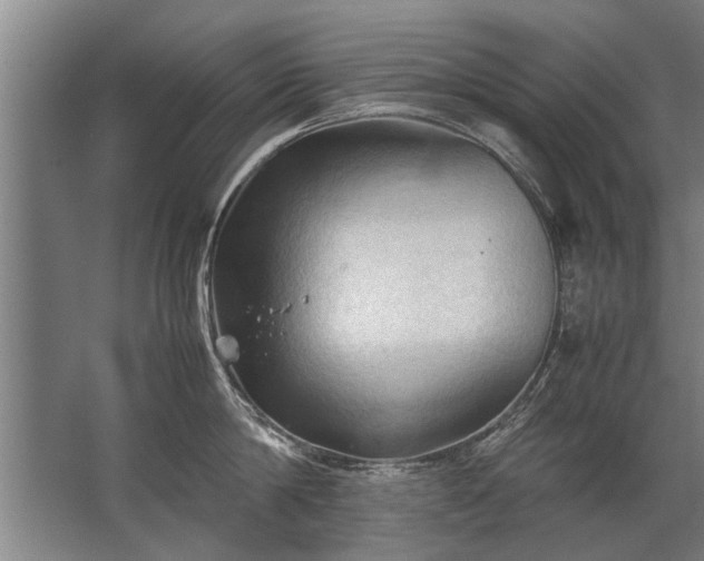 X0000067520814200604150158