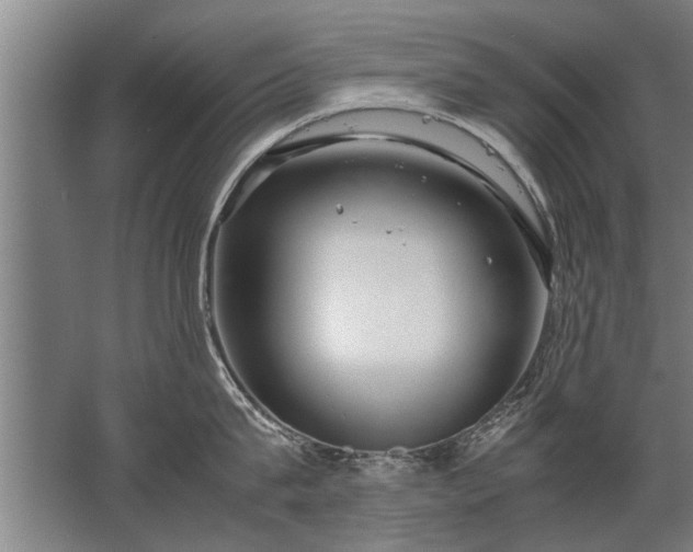 X0000067520815200604150158