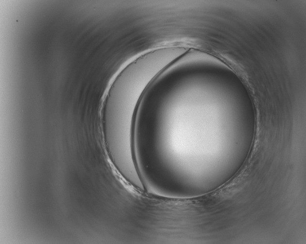 X0000067520816200604150158