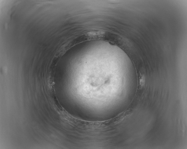 X0000067520819200604150157