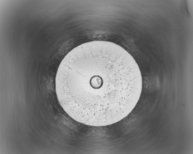 X0000067520820200604150157