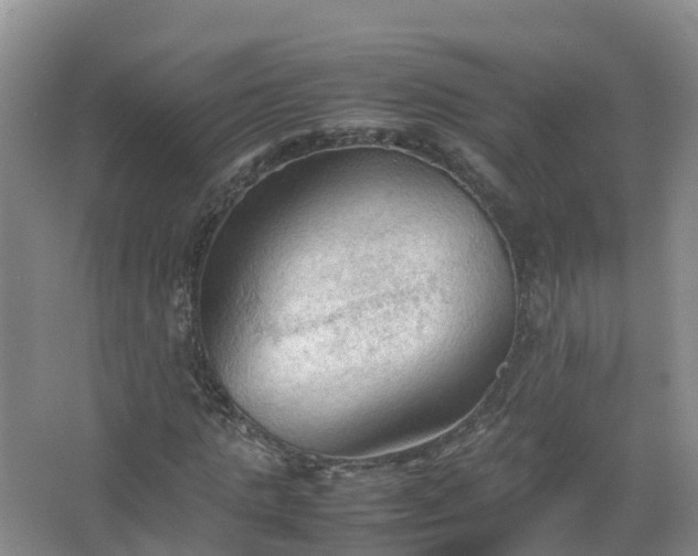 X0000067520821200604150157