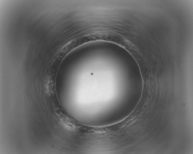 X0000067520822200604150157