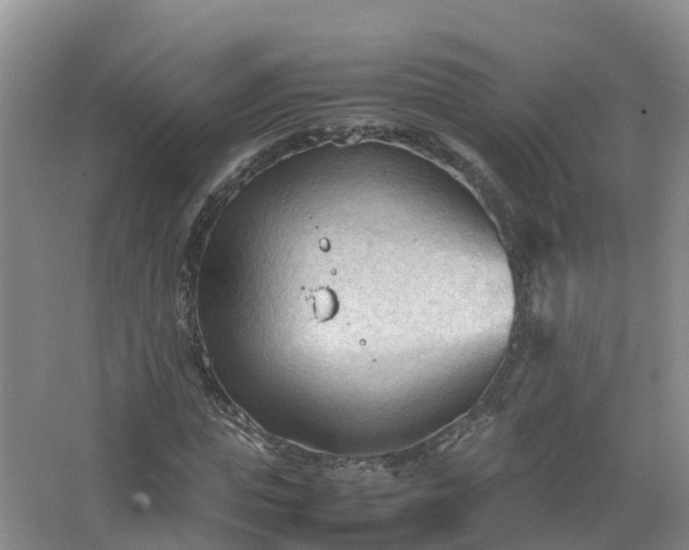 X0000067520823200604150157