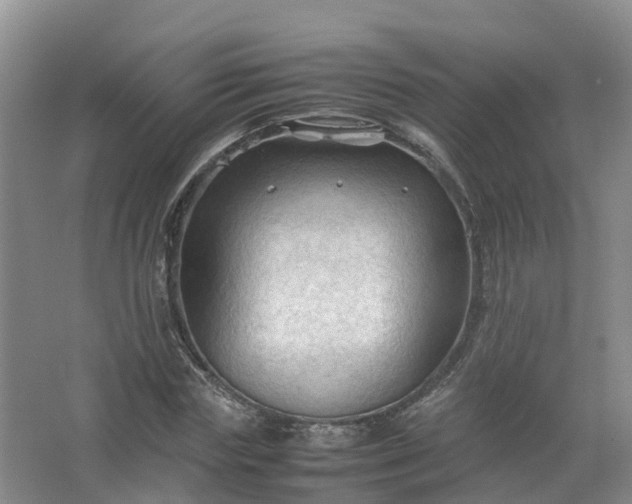 X0000067520827200604150157