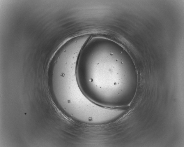 X0000067520828200604150157