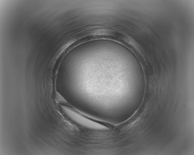 X0000067520829200604150157