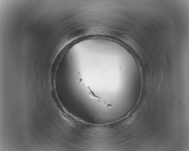 X0000067520830200604150157