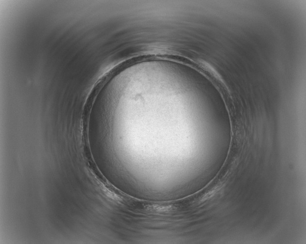 X0000067520831200604150157