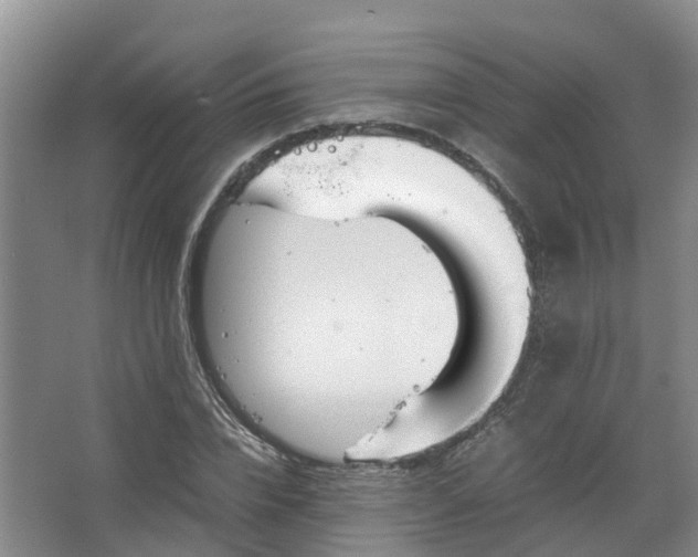 X0000067520832200604150157